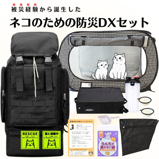 【保存版】もしもの時に愛猫を守れる？防災のプロが教える『猫専用』チェックリスト